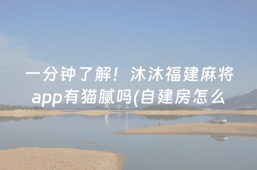 一分钟了解！沐沐福建麻将app有猫腻吗(自建房怎么赢)