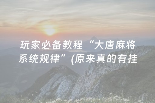 玩家必备教程“大唐麻将系统规律”(原来真的有挂)-抖音