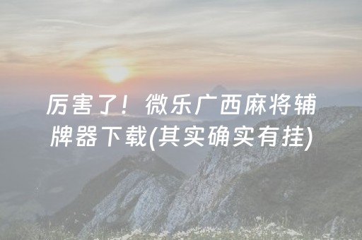 厉害了！微乐广西麻将辅牌器下载(其实确实有挂)