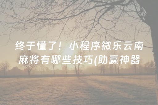 终于懂了！小程序微乐云南麻将有哪些技巧(助赢神器)
