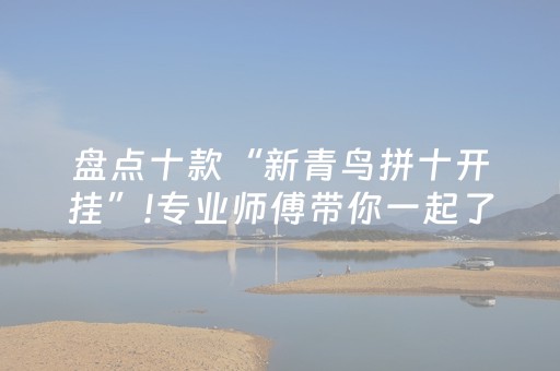 盘点十款“新青鸟拼十开挂”!专业师傅带你一起了解（详细教程）-抖音
