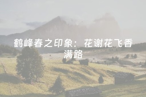 实测分享“哥哥跑得快怎么拿好牌”（详细开挂教程）-哔哩哔哩