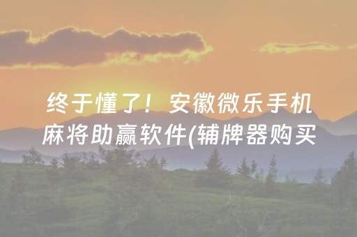 终于懂了！安徽微乐手机麻将助赢软件(辅牌器购买)