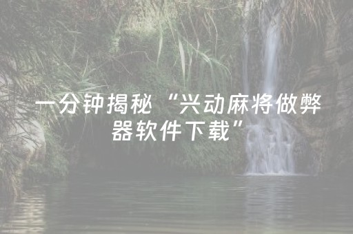 一分钟揭秘“兴动麻将做弊器软件下载”（有什么规律)