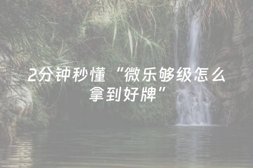 终于发现“微乐麻将透牌器（专用辅牌神器免安装）