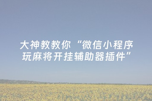 玩家必备教程“微信小程序微乐麻将助赢神器购买”（详细透视教程）-哔哩哔哩
