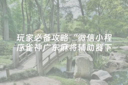 终于发现了“手机跑得快能开挂吗（专用辅牌神器免安装）