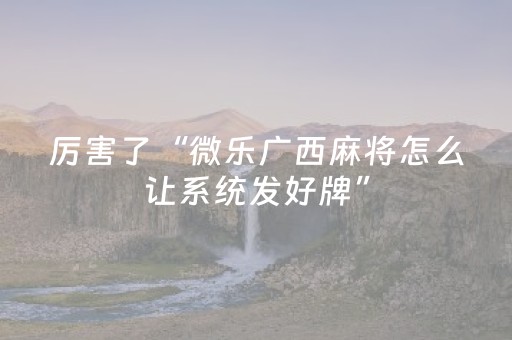实测辅助“微乐四川麻将助赢神器真假（助赢神器通用版）