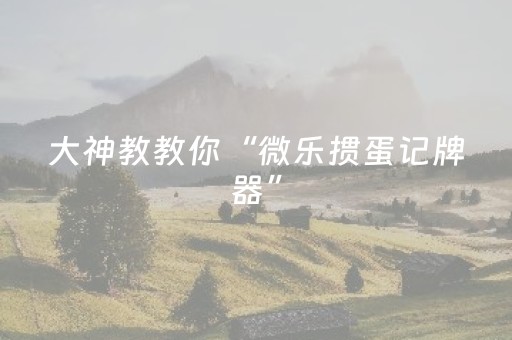 必看教程“微信微乐小程序麻将怎么提高胜率（助赢神器通用版）