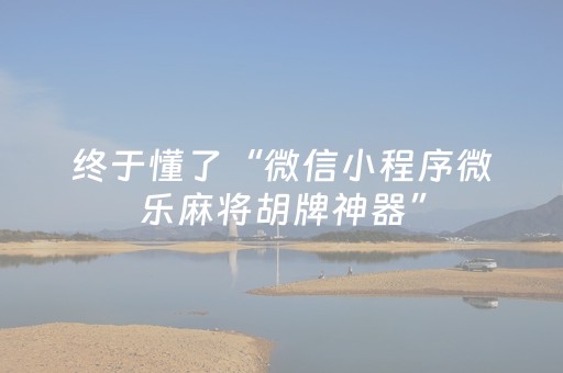 3分钟学会“普通麻将机怎样做才能赢（专用辅牌神器免安装）