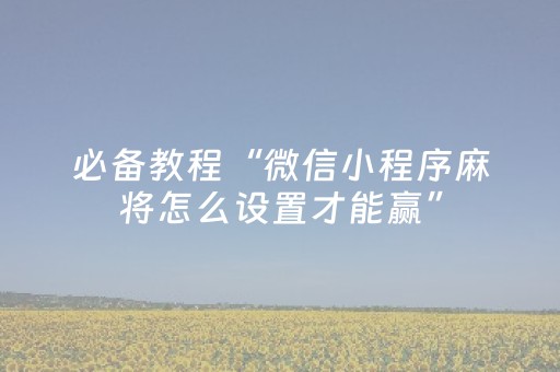 玩家必看攻略“陕麻圈辅助软件（专用辅牌神器免安装）