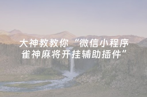 3分钟学会“手机麻将程序专用器（助赢神器通用版）