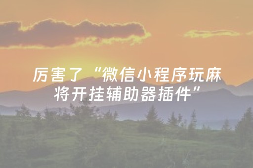 玩家必备教程“微信跑得快小程序辅助器（助赢神器通用版）