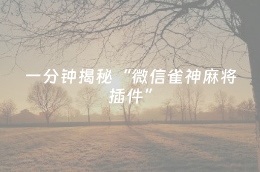一分钟揭秘“微信雀神麻将插件”（赢的技巧规律)