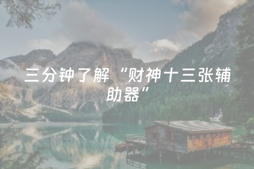 三分钟了解“财神十三张辅助器”（软件出售)