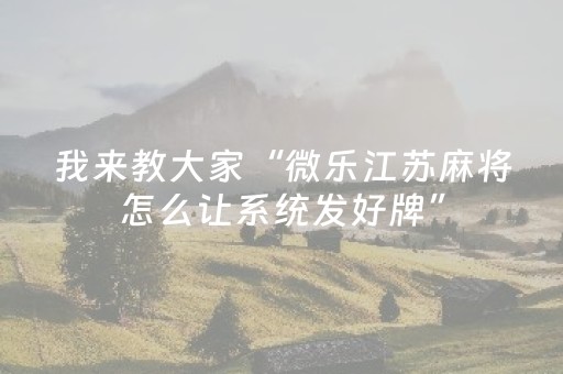 今日实测“小程序麻将插件”（详细透视教程）-哔哩哔哩