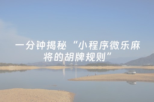 实测结果“手机金花辅助器通用版苹果”（详细透视教程）-哔哩哔哩