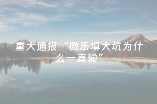实测辅助“手机微乐麻将机防作弊检测器（助赢神器通用版）