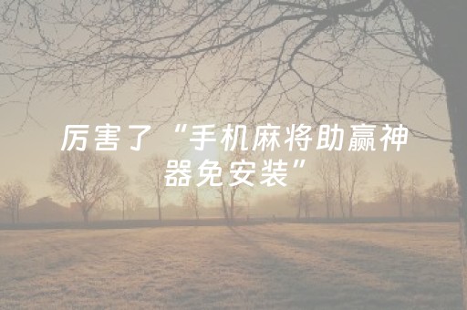 实测结果“科乐长春麻将挂（专用辅牌神器免安装）