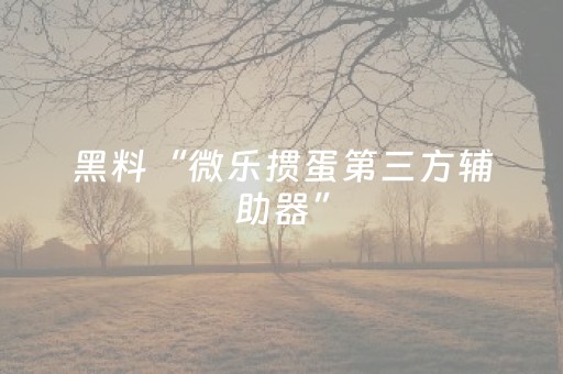 实测辅助“手机麻将神器通用（专用辅牌神器免安装）