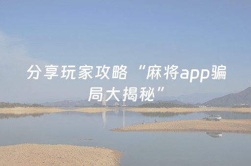 终于发现了“小程序麻将插件（助赢神器通用版）