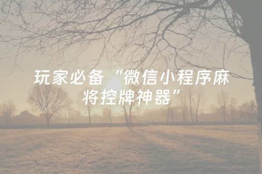 玩家必备“微信小程序麻将控牌神器”（怎么能让牌好一点)