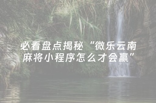 终于发现了“微乐家乡麻将赢牌的技巧（专用辅牌神器免安装）