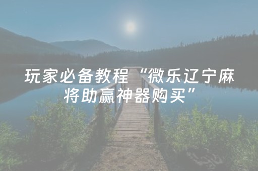 玩家必备教程“微乐陕西麻将挖坑专用神器（专用辅牌神器免安装）