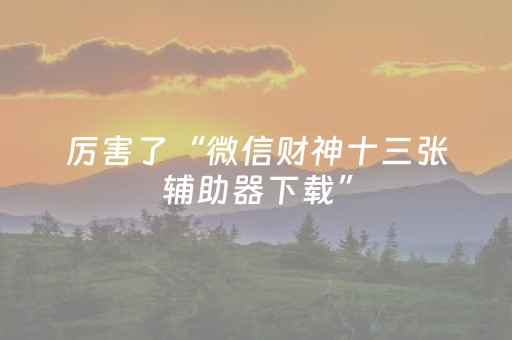 教程辅助“手机十三张数据刷分（专用辅牌神器免安装）