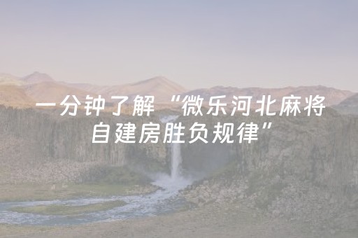 教程辅助“雀神麻将软挂神器（助赢神器通用版）