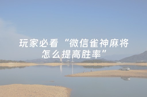 实测教程“开心麻将软挂神器（专用辅牌神器免安装）