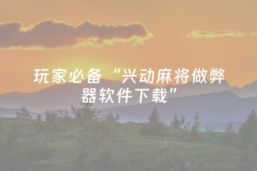我来教大家“功夫川麻外挂设置（专用辅牌神器免安装）