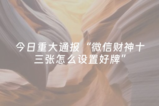 教程辅助“微乐麻将100%能赢的神器（专用辅牌神器免安装）