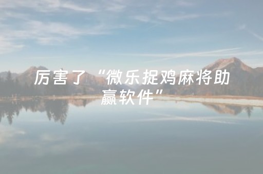 我来教大家“小程序微乐麻将真的可以调胜率吗（专用辅牌神器免安装）