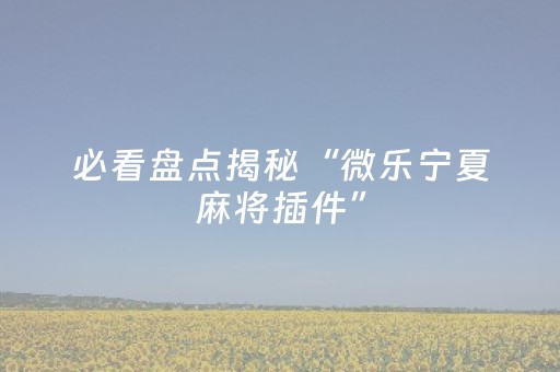 实测分析“东游麻将有挂吗”（详细透视教程）-哔哩哔哩