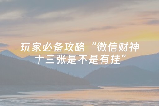 玩家必看攻略“微信微乐麻将助赢神器购买（专用辅牌神器免安装）