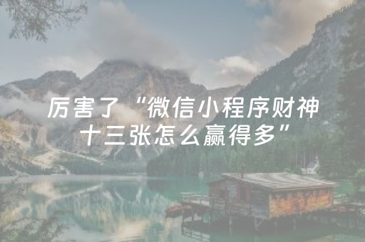 玩家实测“微乐棋牌怎么提高胜率（专用辅牌神器免安装）