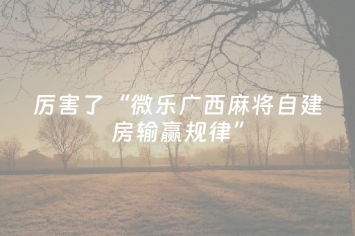 实测分享“中至游戏怎样才可以赢（专用辅牌神器免安装）