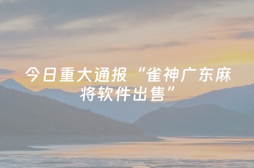 玩家实测“微信麻将机手机控牌器（专用辅牌神器免安装）