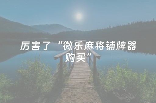玩家实测“微信小程序麻将控牌神器（专用辅牌神器免安装）