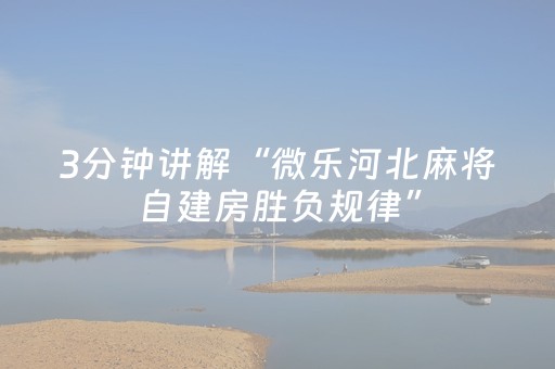 实测结果“乐乐安徽麻将打牌规律（专用辅牌神器免安装）