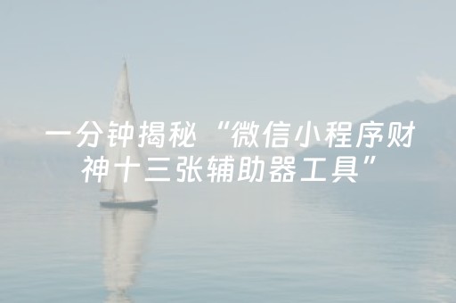 玩家必备教程“中至辅助器免费版3.0（专用辅牌神器免安装）