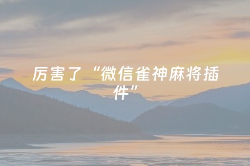 终于发现“微乐湖南麻将专用神器（助赢神器通用版）