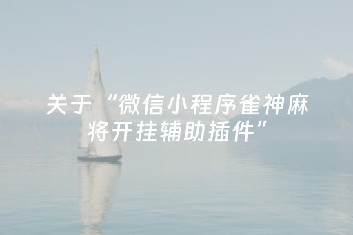 3分钟学会“小程序跑得快怎么拿好牌（助赢神器通用版）