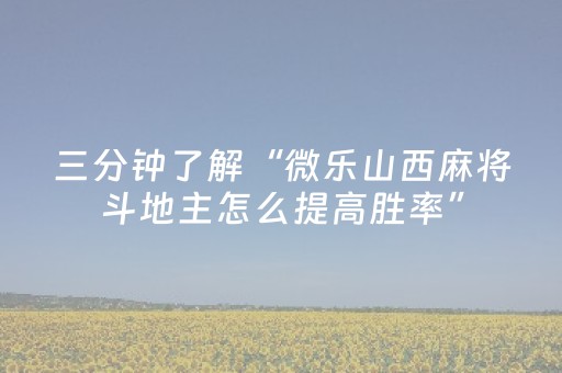 我来教大家“微乐广东麻将如何赢的秘诀（助赢神器通用版）