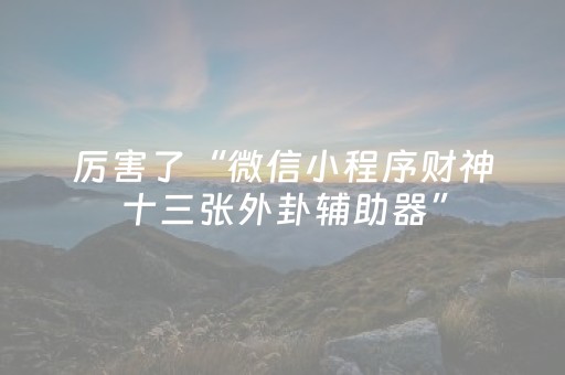 分享辅助“闲逸跑得快提高胜率技巧（专用辅牌神器免安装）