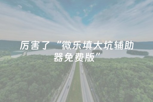 玩家实测“牵手跑胡子外挂（专用辅牌神器免安装）