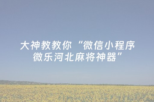 玩家必备教程“财神十三张辅助器（专用辅牌神器免安装）