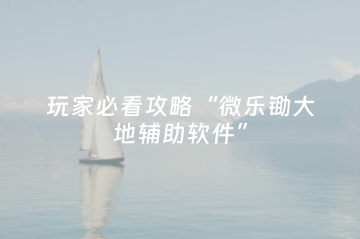 玩家实测“微乐湖北麻将专用神器（专用辅牌神器免安装）