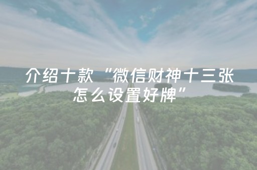必看教程“微乐天津麻将挂件神器”（详细透视教程）-哔哩哔哩